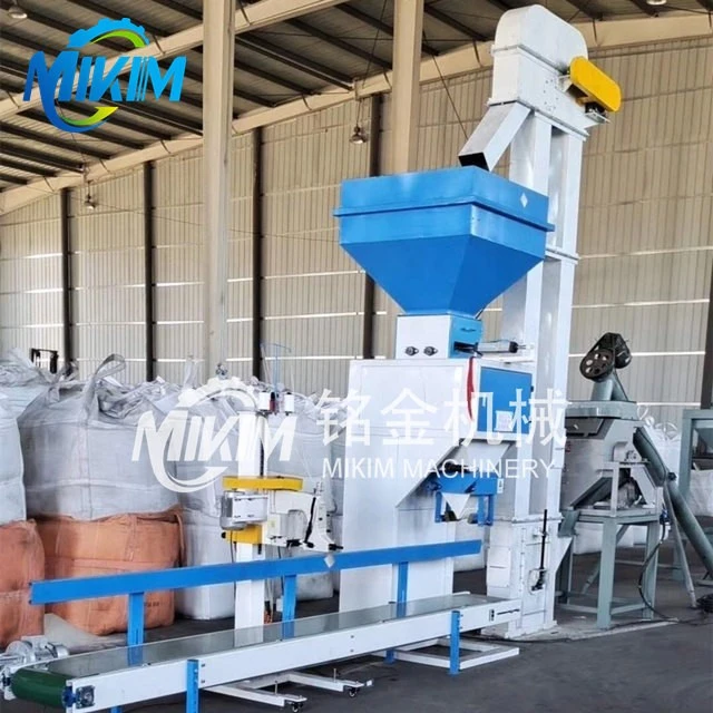 Bagging Packing Machine