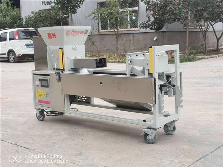 High-capacity Bagging Machine For Mushroom