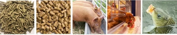 animal food animal food